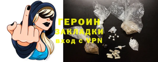 индика Белая Холуница