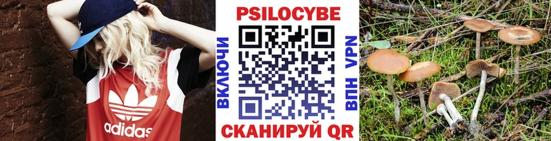 mega ссылки  Райчихинск  Псилоцибиновые грибы ЛСД 